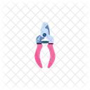 Grooming Care Paw Icon