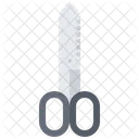 Scissors Meat Butcher Icon