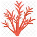 Scleronephthya Coral Reef Underwater Ecosystem Icon