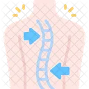 Scoliosis Posture Spine Icon