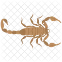 Scorpio Sign Horoscope Icon