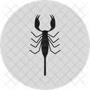 Scorpion Insect Animal Icon