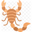 Scorpion Personality Scorpio Icon