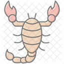 Scorpion Insect Sting Icon