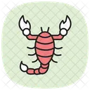 Scorpion Insect Sting Icon