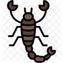 Scorpion  Icône