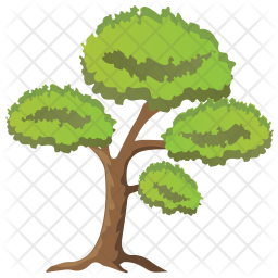 scots pine tree icon of flat style available in svg png eps ai icon fonts scots pine tree icon