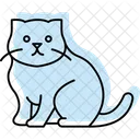 Scottish Fold Scottishfold Cat Icon