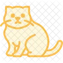 Scottish Fold Scottish Fold Katze Icon