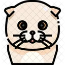 Scottish Fold Cat Cat Face Icon