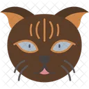 Scottish Fold Cat Folded Ears Round Face Icon