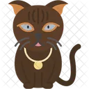 Scottish Fold Cat Folded Ears Round Face Icon