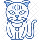 Scottish Fold Cat Folded Ears Round Face Icon