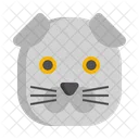Scottish Fold Cat Pet Cat Cat Icon