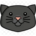 Scottish Fold Cat Pet Cat Cat Icon