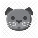 Scottish Fold Cat  Icon