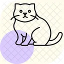 Scottish Fold Scottishfold Cat Icon