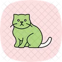 Scottish Fold Scottishfold Cat Icon