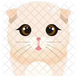 Scottish Fold  Icon