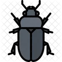 Beetle Bug Insect Icon