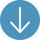 Scroll down Arrow  Icon