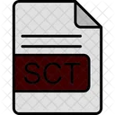 Sct File Format Icon