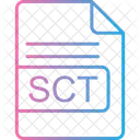 Sct File Format Icon