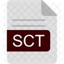Sct File Format Icon