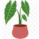 Scutellaria Galericulata Nature House Plants Icon