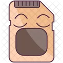 Memory Flash Memory Chip Memory Card Icon