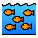 Sea Underwater Fish Icon