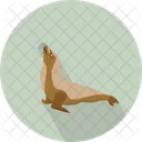 Sea Lion Carnivora Icon