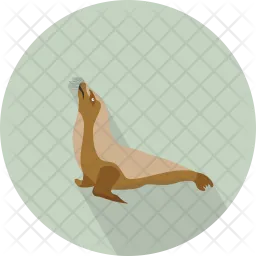 Sealion  Icon