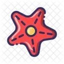 Sea Animal Star Fish Icon