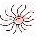 Sea Anemone Anemone Aquarium Icon
