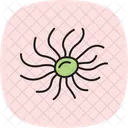 Sea Anemone Sea Anemone Icon