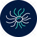Sea Anemone Sea Anemone Icon