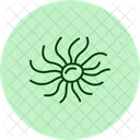Sea Anemone Sea Anemone Icon