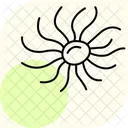 Sea Anemone Sea Anemone Icon