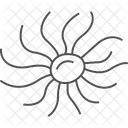 Sea Anemone Sea Anemone Icon