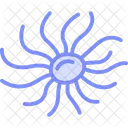 Sea Anemone Sea Anemone Icon