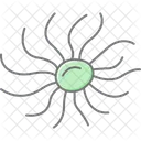 Sea Anemone Sea Anemone Icon