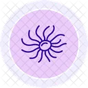 Sea Anemone Sea Anemone Icon
