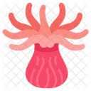 Sea Anemone Anemone Actinia Icon