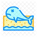 Fish Death Color Icon