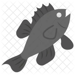 Sea Bass  Icon