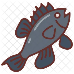 Sea bass  Icon