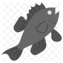 Fish Aquarium Sea Icon