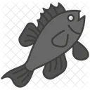 Fish Fish Aquarium Icon