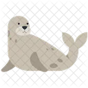 Sea Cat  Icon